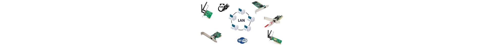 Schede di Rete PCI- Express